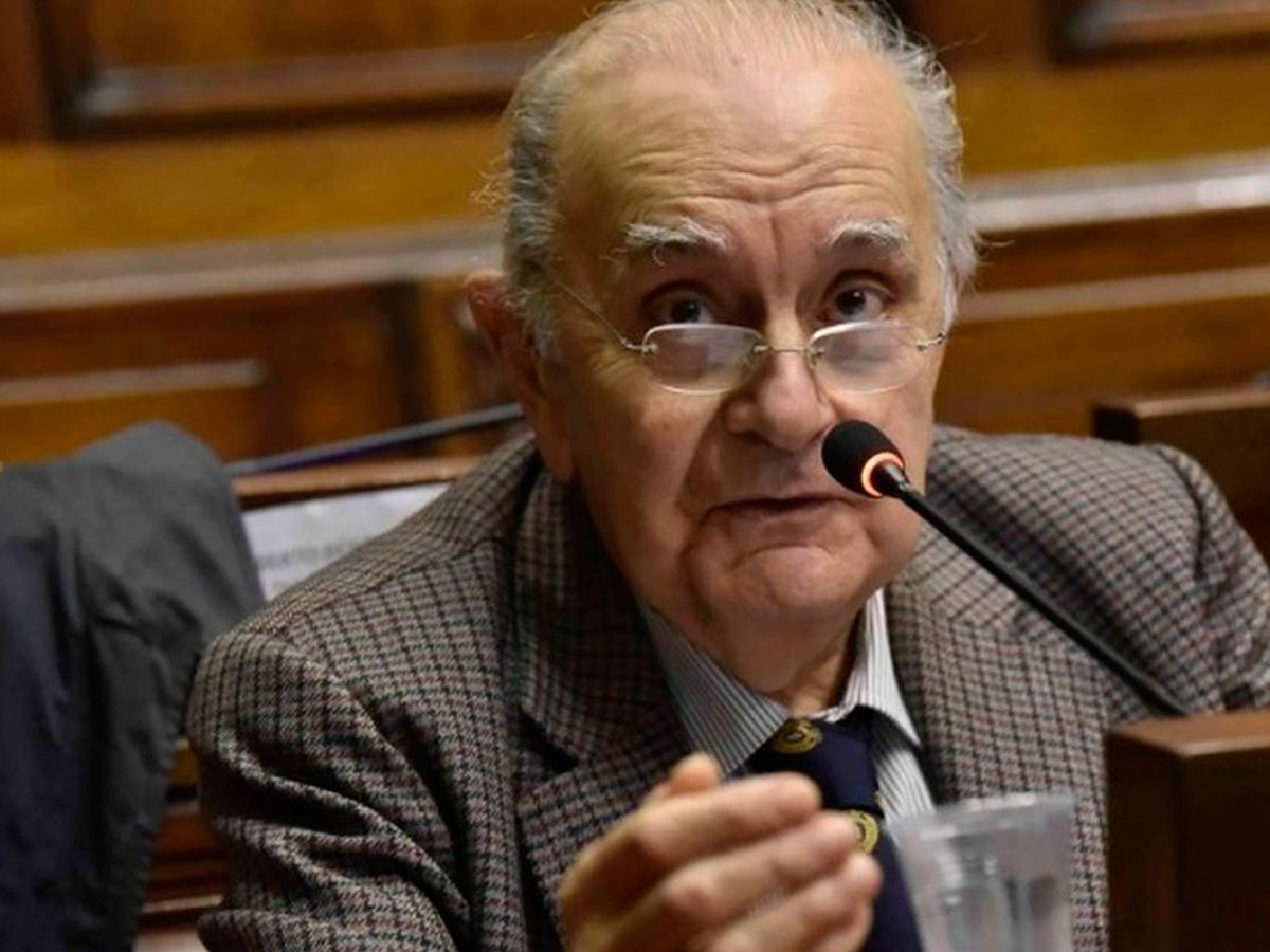 Diputado por el bloque del PRO, Alberto Asseff